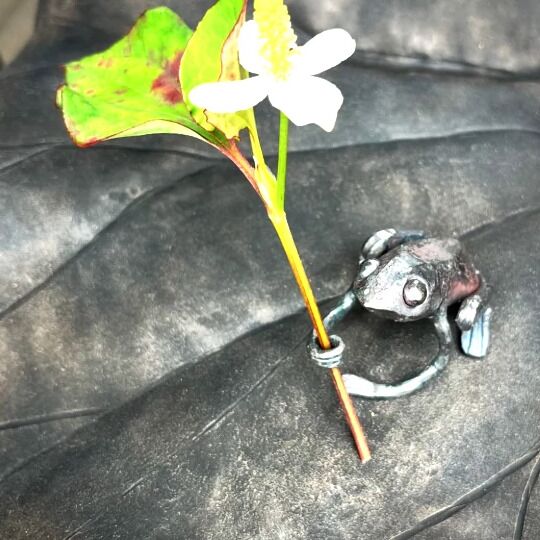 鉄のカエルのオブジェと草花